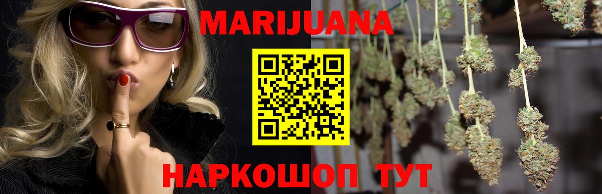 Конопля сатива Семилуки